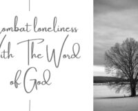 Image with the text: Combat loneliness with the word of God and a picture of a lonely tree in a winter landscape